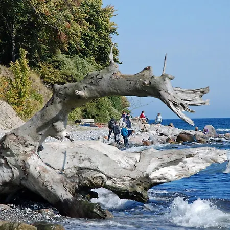 Mit Sauna U Terrasse Im Zentrum Von Ruegen Apartmán Thesenvitz