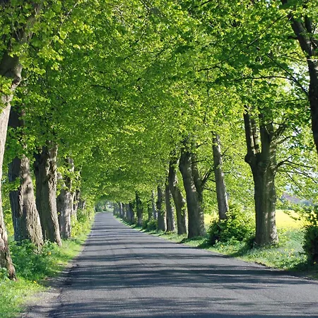Mit Sauna U Terrasse Im Zentrum Von Ruegen Apartmán